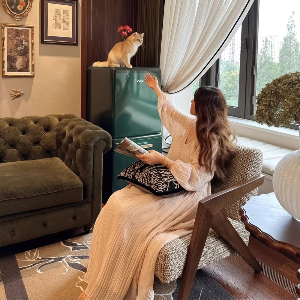 French retro Richard single sofa chair