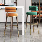 Modern Style Adjustable Bar Stool