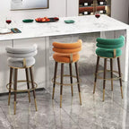 Modern Style Adjustable Bar Stool