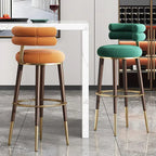 Modern Style Adjustable Bar Stool