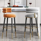 Modern Style Adjustable Bar Stool